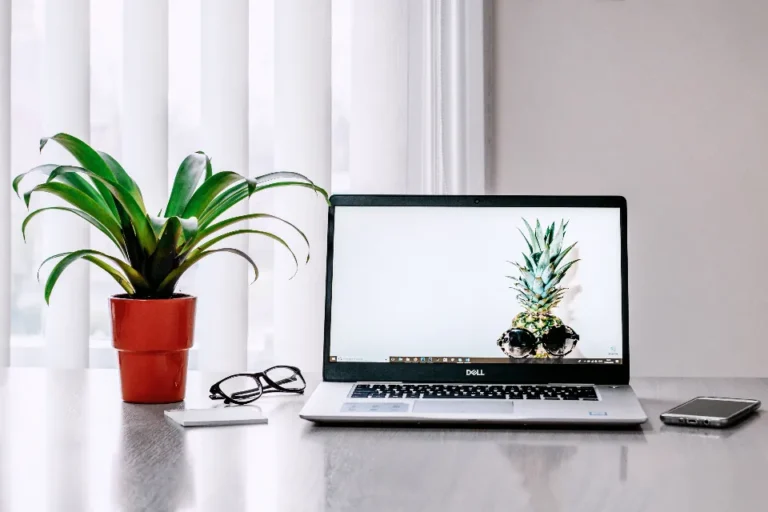 Minimal laptop desk setup illustrating lightweight SEO tools for small websites